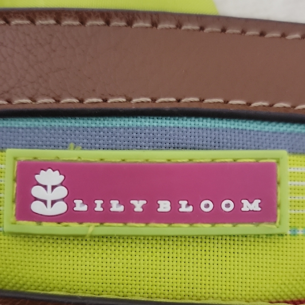 Lily Bloom Vibrant Striped Crossbody Bag - Picture 5 of 7